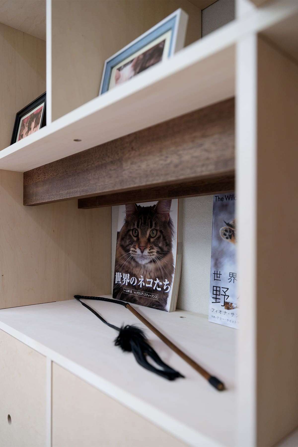 愛猫との暮らし - Shelf 壁一面の本棚 奥行350mm - マルゲリータお客様事例