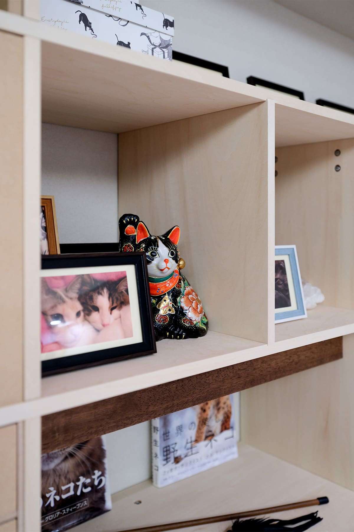 愛猫との暮らし - Shelf 壁一面の本棚 奥行350mm - マルゲリータお客様事例