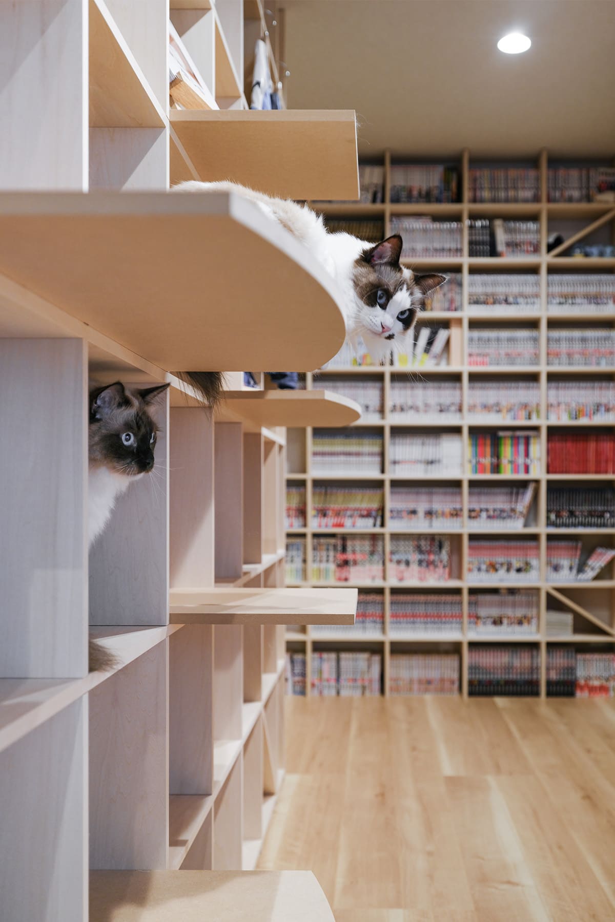 猫と暮らすL字型ライブラリー空間 - Shelf 壁一面の本棚 奥行350mm / 壁一面のコミック本棚 奥行180mm - マルゲリータお客様事例