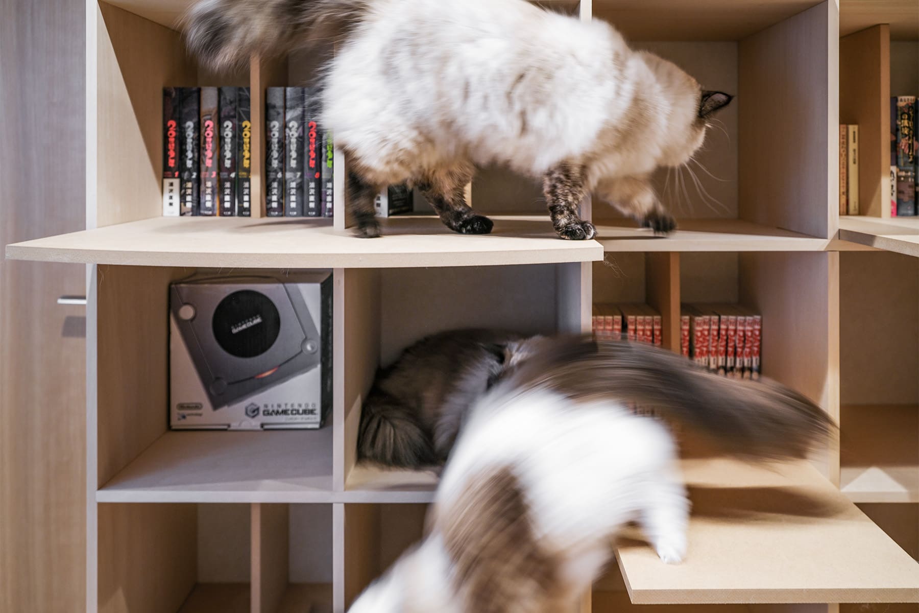 猫と暮らすL字型ライブラリー空間 - Shelf 壁一面の本棚 奥行350mm / 壁一面のコミック本棚 奥行180mm - マルゲリータお客様事例