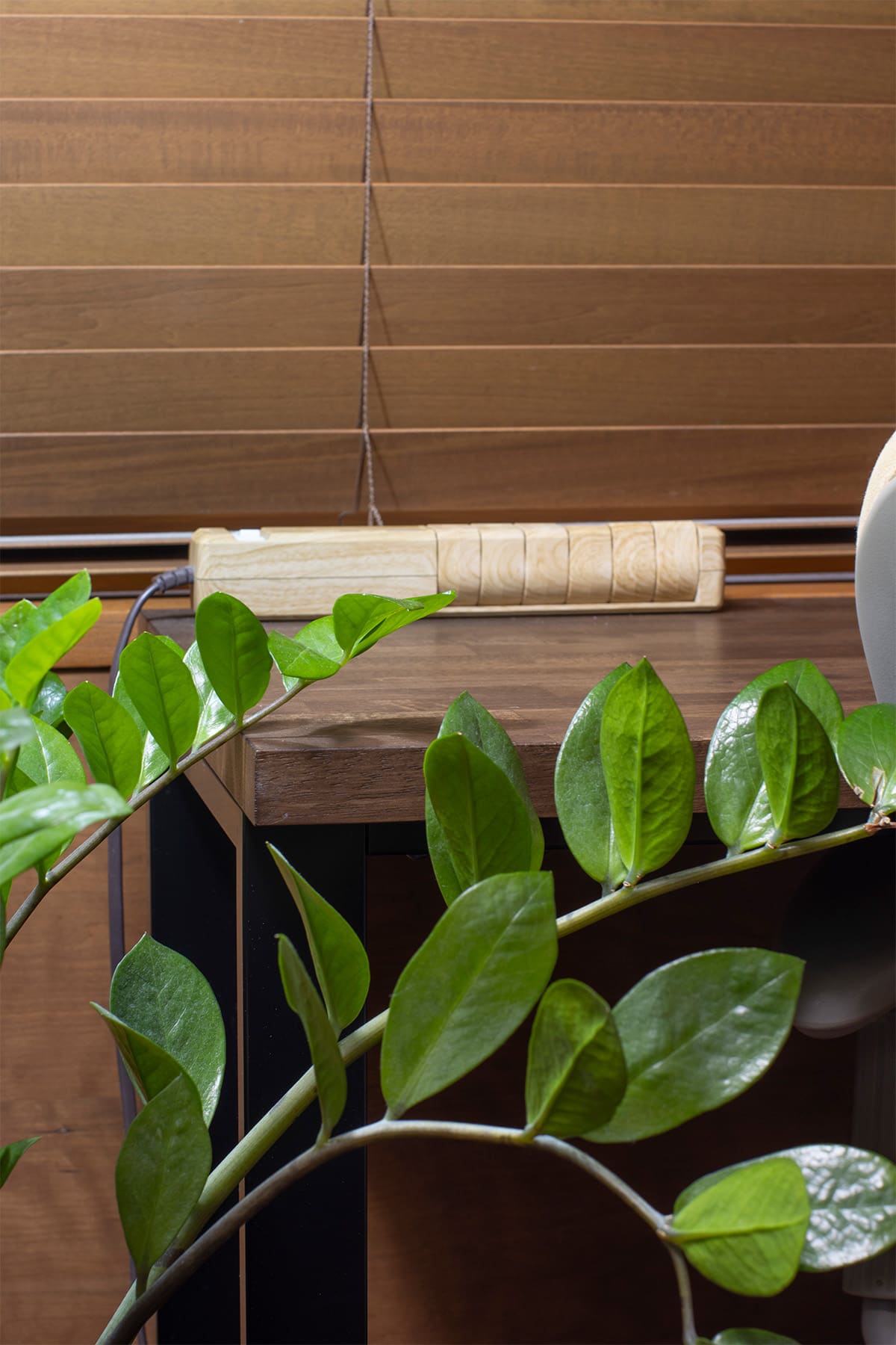 建築家の書斎兼ワークスペース - Shelf 壁一面の本棚 奥行350mm / Tavola コンソールデスク - マルゲリータお客様事例