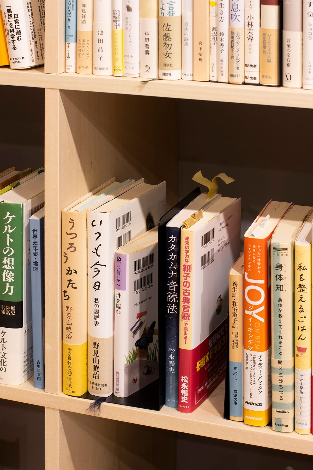 白井正雄記念館 ともす図書館 - Shelf 壁一面の本棚 奥行350 - マルゲリータお客様事例