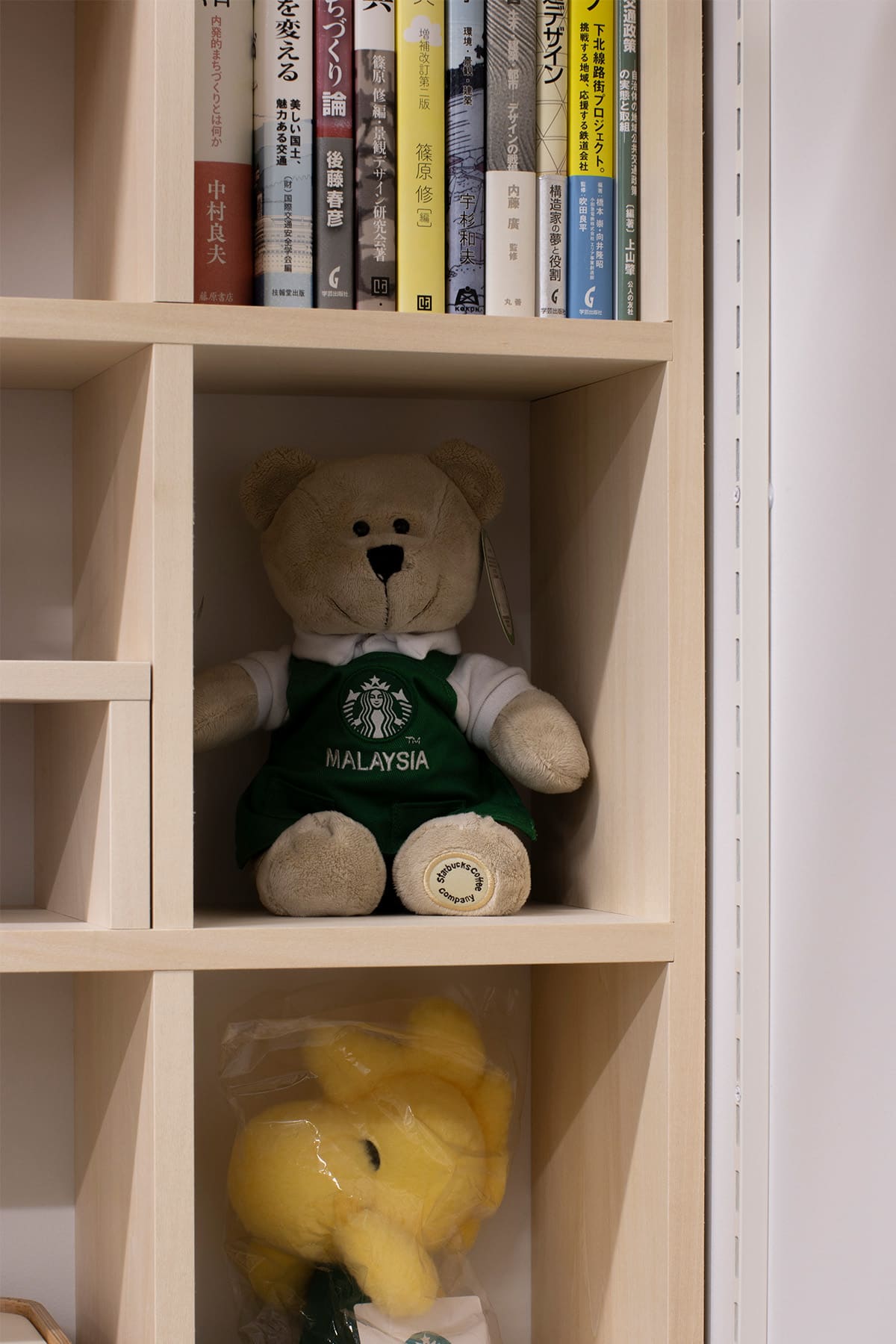 日本大学理工学部まちづくり工学科の研究室 - Shelf 壁一面のA5判本棚 奥行180mm - マルゲリータお客様事例